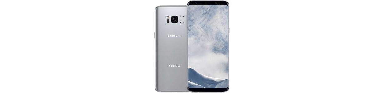 Samsung Galaxy S8 plus g955