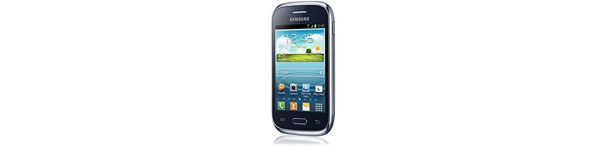 Samsung Galaxy Young S6310 repuestos