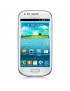 Samsung Galaxy Fama S6818