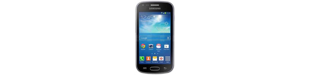 Samsung Galaxy Trend I699